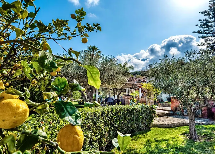 本西别墅住宿加早餐旅馆